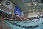 Swimming & Diving vs RWU  Swimming & Diving vs Roger Williams University. - Photo by Keith Nordstrom : Wheaton, Swimming